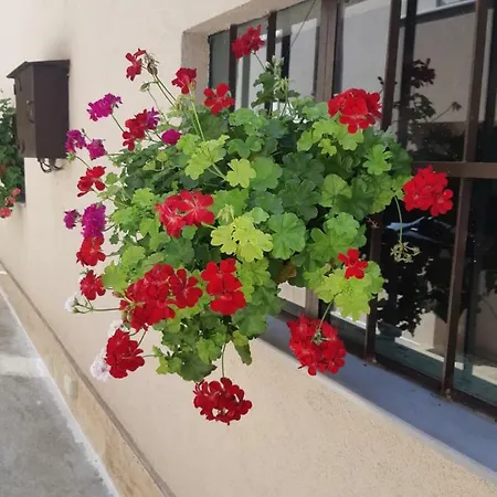 Ros Guest house Svilengrad