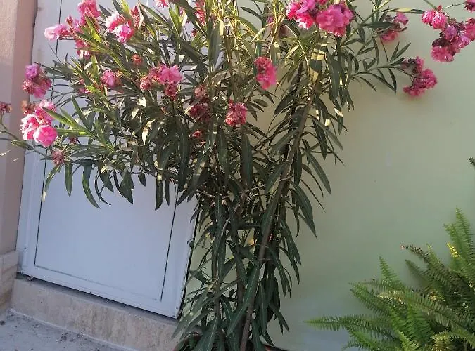 게스트하우스 Ros