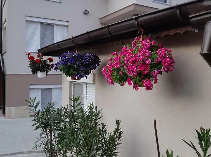 게스트하우스 Ros 3*