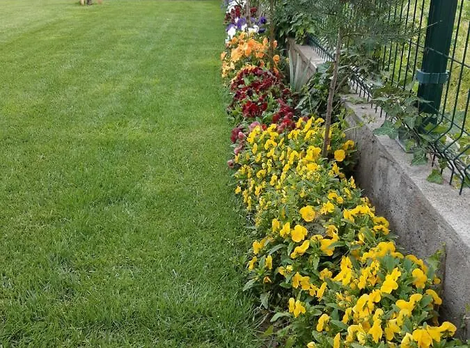 Ros 게스트하우스 3*