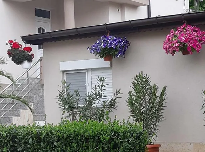 Ros 3* 스빌렌그라드