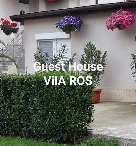 Ros 3* 스빌렌그라드