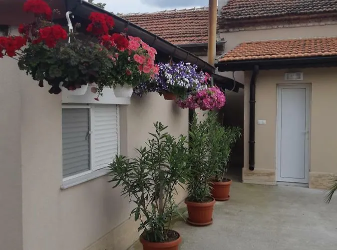 Ros 게스트하우스 스빌렌그라드