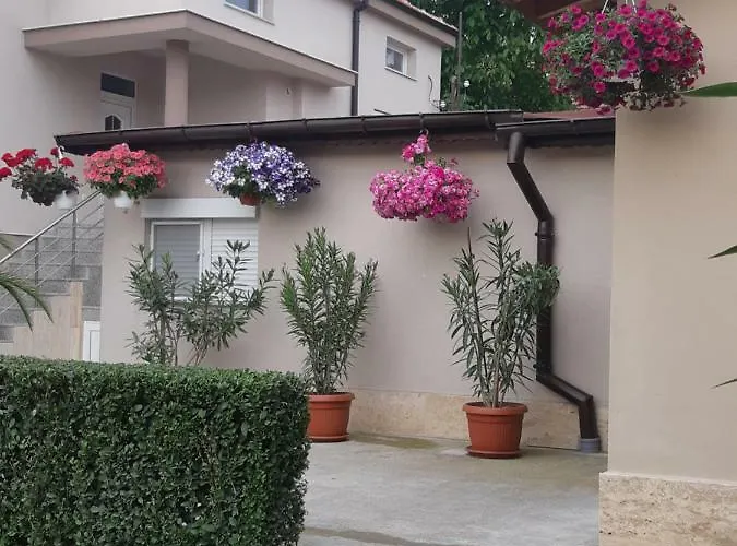 Ros 게스트하우스 3*