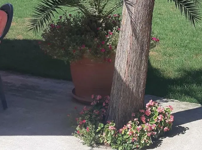 Ros Гостевой дом 3*