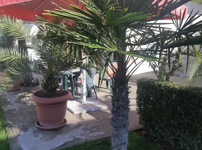 게스트하우스 Ros 스빌렌그라드