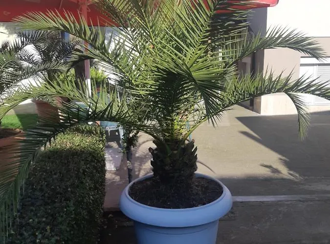 게스트하우스 Ros 3*