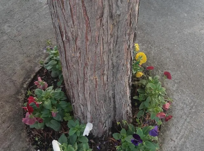 Ros 게스트하우스